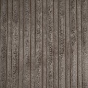 Corduroy 1231